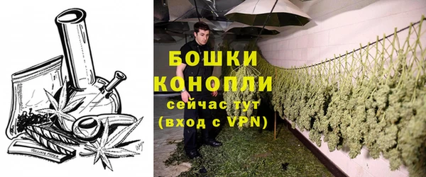 не бодяженный Медногорск