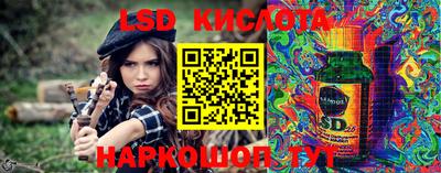 крисы Берёзовский