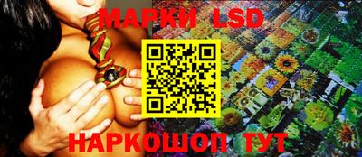 крисы Берёзовский