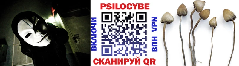 как найти закладки  Кимовск  Псилоцибиновые грибы MAGIC MUSHROOMS 