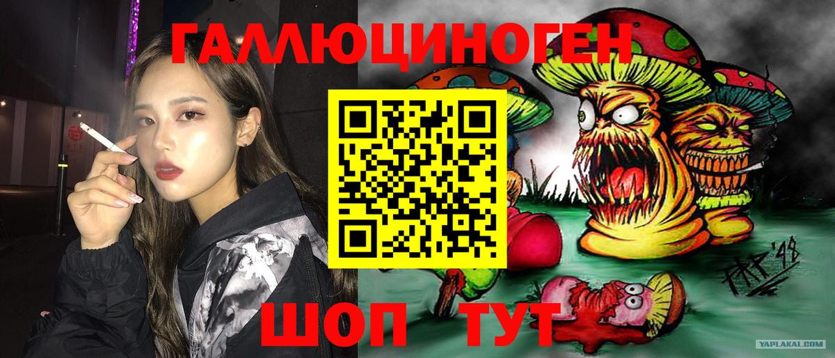 Кимовск  Галлюциногенные грибы MAGIC MUSHROOMS  Вход с VPN 